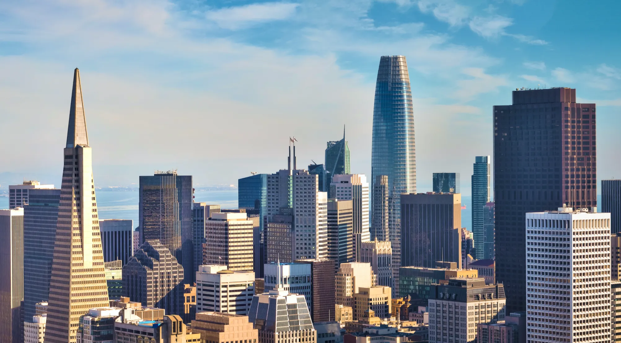San Fransisco skyline